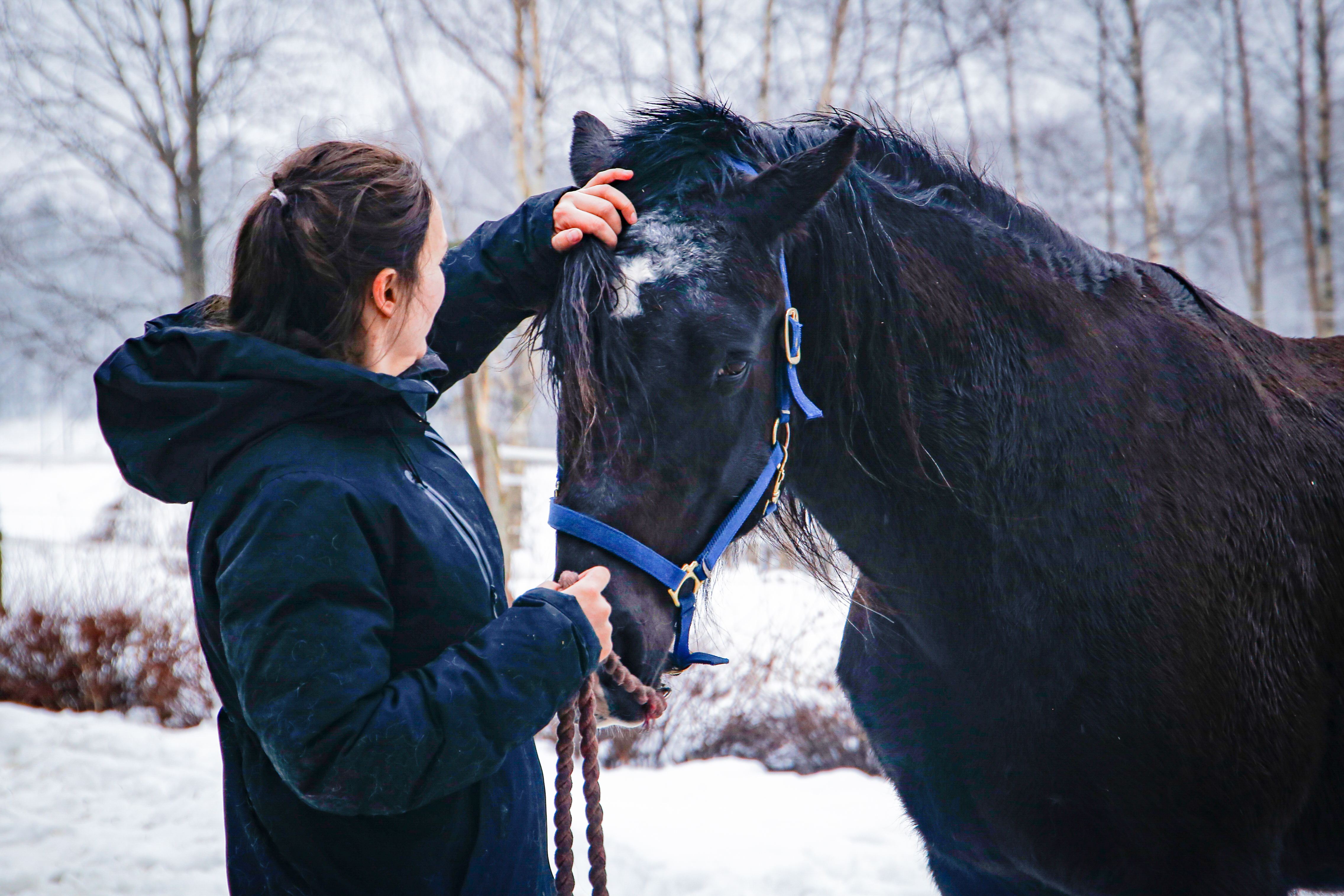 Kvinne med hest